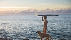 Sea ocean Dogs surfing digital