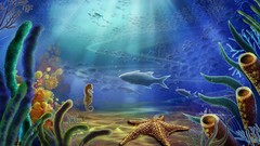 Sea ocean fish starfish underwater