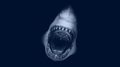 Sea ocean white predator teeth Sharks scary