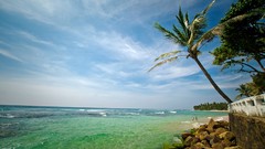 Sea palm trees rocks Beaches