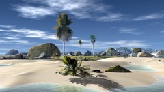 Sea palm trees rocks Beaches digital art renders