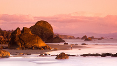 Sea pink man horizon rocks