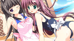 Sea shore swimsuits beach