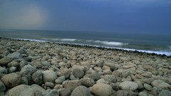 Sea stones