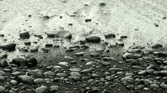 Sea stones
