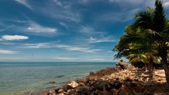 Sea stones clouds patterns coast tropics horizon palm trees 