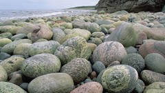 Sea stones coast