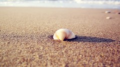Sea stones nature Beaches waves seashells