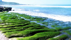 Sea stones nature ocean coast moss horizon