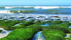 Sea stones nature ocean coast moss horizon