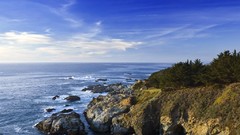 Sea stones nature Trees skyscapes