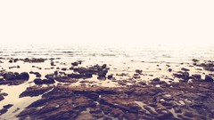 Sea stones nature water Seaside rocks sea shorelines