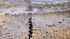 Sea stones text September Beaches chains Smashing magazine