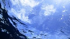 Sea summer Beaches yun