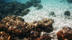 Sea summer Beaches yun