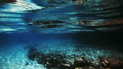 Sea summer Beaches yun