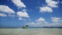 Sea summer Beaches yun