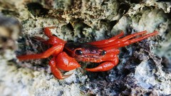 Sea summer Beaches yun