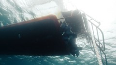 Sea summer Beaches yun