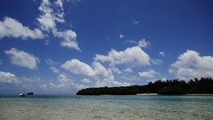 Sea summer Beaches yun