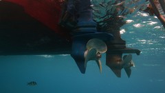 Sea summer Beaches yun