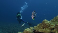 Sea summer Beaches yun