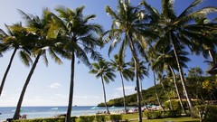 Sea summer Beaches yun