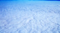 Sea summer Beaches yun