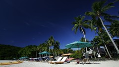 Sea summer Beaches yun