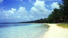 Sea summer Beaches yun