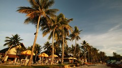 Sea summer Beaches yun