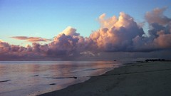 Sea summer Beaches yun
