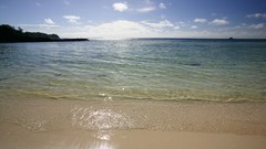 Sea summer Beaches yun