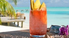 Sea summer cocktail vacation palm trees Beaches beverages