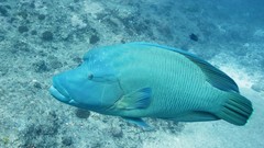 Sea summer ocean Beaches yun