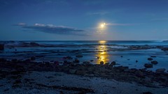 Sea sun Beaches skyscapes