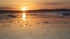 Sea sun Beaches waves