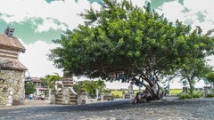 Sea sun ocean Beaches dominican republic Caribbean Sea Аltos de 