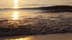 Sea sun ocean reflections shore