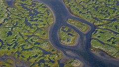 Sea sweden shore aerial