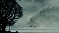 Sea Trees Birds silhouettes mist