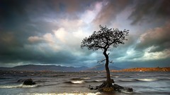 Sea Trees clouds waves