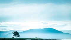 Sea Trees Mountains New Zealand