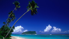 Sea tropical Islands palm