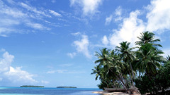 Sea tropical seascapes nature