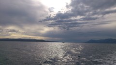 Sea water Birds croatia skies