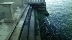 Sea water blue Atlantis Green Algae Italy venice architecture 