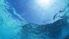 Sea water blue ocean underwater unterwasser unterseeisch