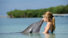 Sea water Dolphins blondes kissing