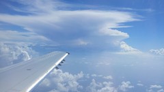 Sea water ocean Majestic flying white sand Bahamas Beaches new 